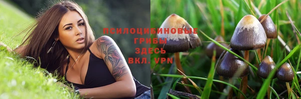 гашик Покров