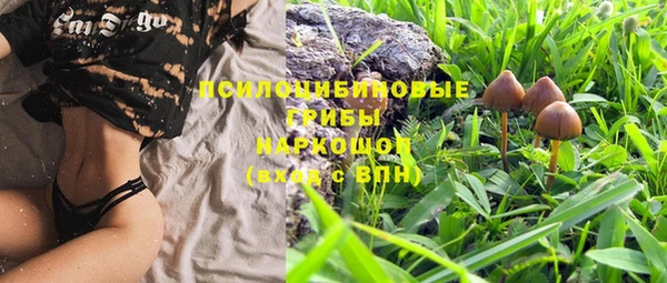 гашик Покров