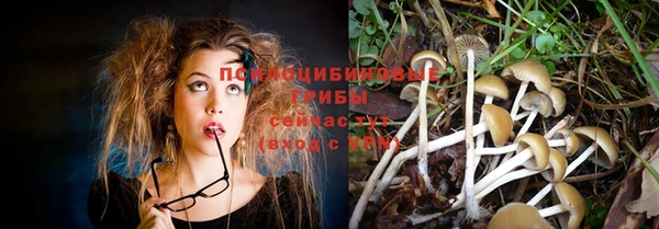 мяу мяу мука Армянск