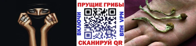 Псилоцибиновые грибы Cubensis hydra ссылки Баймак